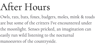 After Hours Owls, rats, bats, foxes, badgers, moles, mink & toads are but some of the critters I've encountered under the moonlight. Senses pricked, an imagination can easily run wild listening to the nocturnal manoeuvres of the countryside. 