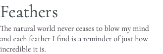 Feathers The natural world never ceases to blow my mind and each feather I find is a reminder of just how incredible it is.