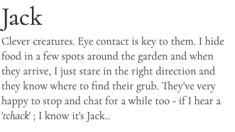 Jack Clever creatures. Eye contact is key to them. I hide food in a few spots around the garden and when they arrive, I just stare in the right direction and they know where to find their grub. They've very happy to stop and chat for a while too - if I hear a 'tchack' ; I know it's Jack..