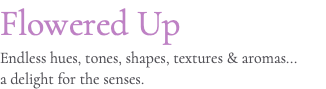 Flowered Up Endless hues, tones, shapes, textures & aromas... a delight for the senses.