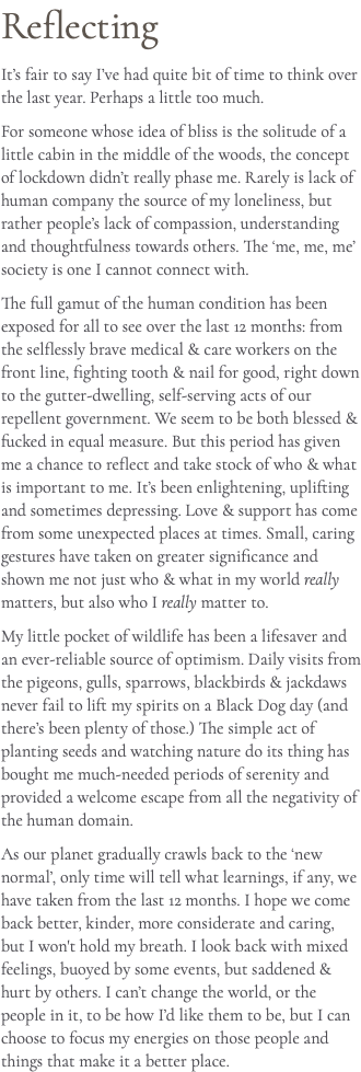 Reflecting It’s fair to say I’ve had quite bit of time to think over the last year. Perhaps a little too much. For someone whose idea of bliss is the solitude of a little cabin in the middle of the woods, the concept of lockdown didn’t really phase me. Rarely is lack of human company the source of my loneliness, but rather people’s lack of compassion, understanding and thoughtfulness towards others. The ‘me, me, me’ society is one I cannot connect with. The full gamut of the human condition has been exposed for all to see over the last 12 months: from the selflessly brave medical & care workers on the front line, fighting tooth & nail for good, right down to the gutter-dwelling, self-serving acts of our repellent government. We seem to be both blessed & fucked in equal measure. But this period has given me a chance to reflect and take stock of who & what is important to me. It’s been enlightening, uplifting and sometimes depressing. Love & support has come from some unexpected places at times. Small, caring gestures have taken on greater significance and shown me not just who & what in my world really matters, but also who I really matter to. My little pocket of wildlife has been a lifesaver and an ever-reliable source of optimism. Daily visits from the pigeons, gulls, sparrows, blackbirds & jackdaws never fail to lift my spirits on a Black Dog day (and there’s been plenty of those.) The simple act of planting seeds and watching nature do its thing has bought me much-needed periods of serenity and provided a welcome escape from all the negativity of the human domain. As our planet gradually crawls back to the ‘new normal’, only time will tell what learnings, if any, we have taken from the last 12 months. I hope we come back better, kinder, more considerate and caring, but I won't hold my breath. I look back with mixed feelings, buoyed by some events, but saddened & hurt by others. I can’t change the world, or the people in it, to be how I’d like them to be, but I can choose to focus my energies on those people and things that make it a better place.