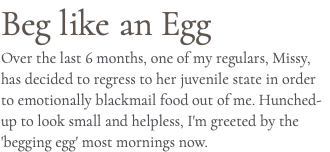 Beg like an Egg Over the last 6 months, one of my regulars, Missy, has decided to regress to her juvenile state in order to emotionally blackmail food out of me. Hunched-up to look small and helpless, I'm greeted by the 'begging egg' most mornings now.